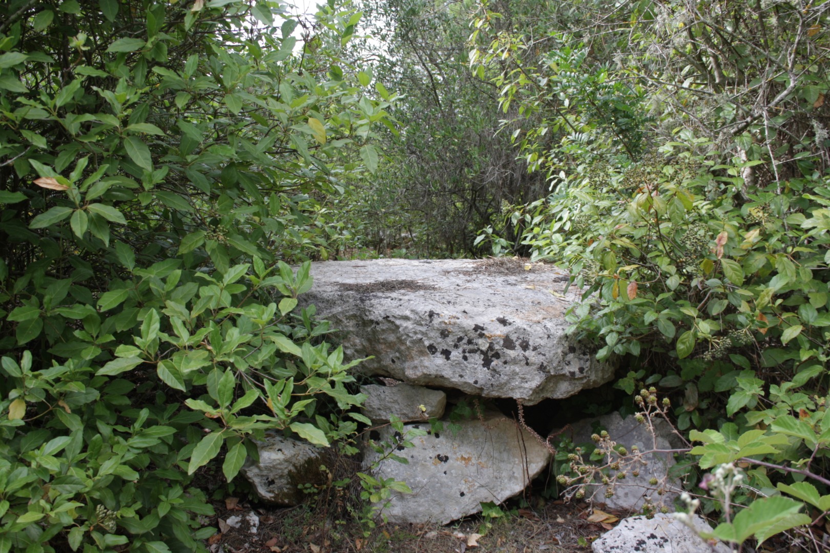 Dolmen Grotta_2